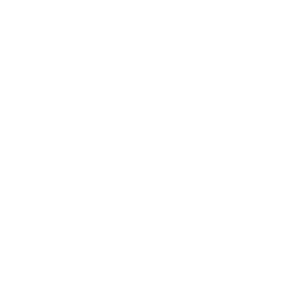 Logo 11